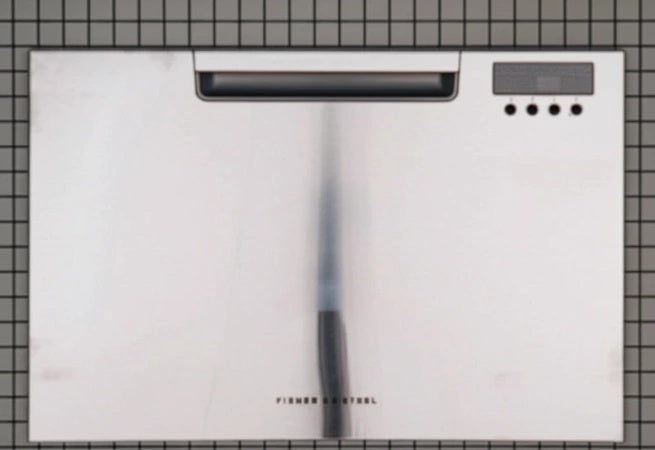 Fisher & Paykel Dishwasher Door Assembly - 513233