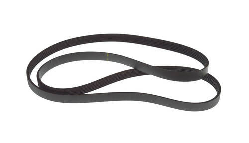 Whirlpool Washer Drive Belt - WPW10260319, Replaces: 1552198 AH11751386 AH2372678 AP4482559 AP6018084 OEM PARTS WORLD