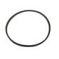Frigidaire Washer Drive Belt - 5308002451