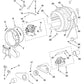 Whirlpool Dryer Drive Belt - WP8183101, Replaces: 8183101